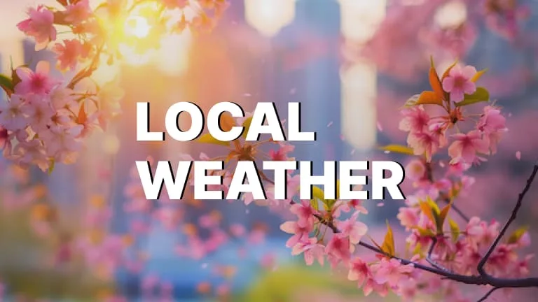 Local Weather